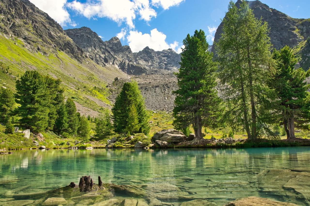 Alpinhotel Monte Superior - Silvretta Card Premium Betrieb غالتور المظهر الخارجي الصورة